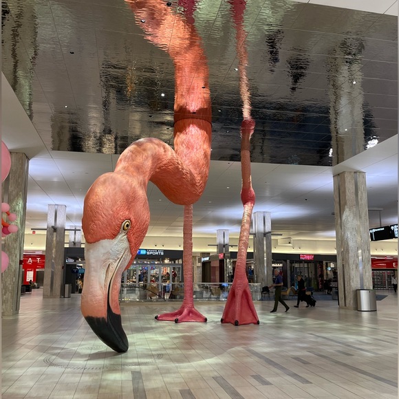 Meet your Posher, Grace - Picture 3 of 4